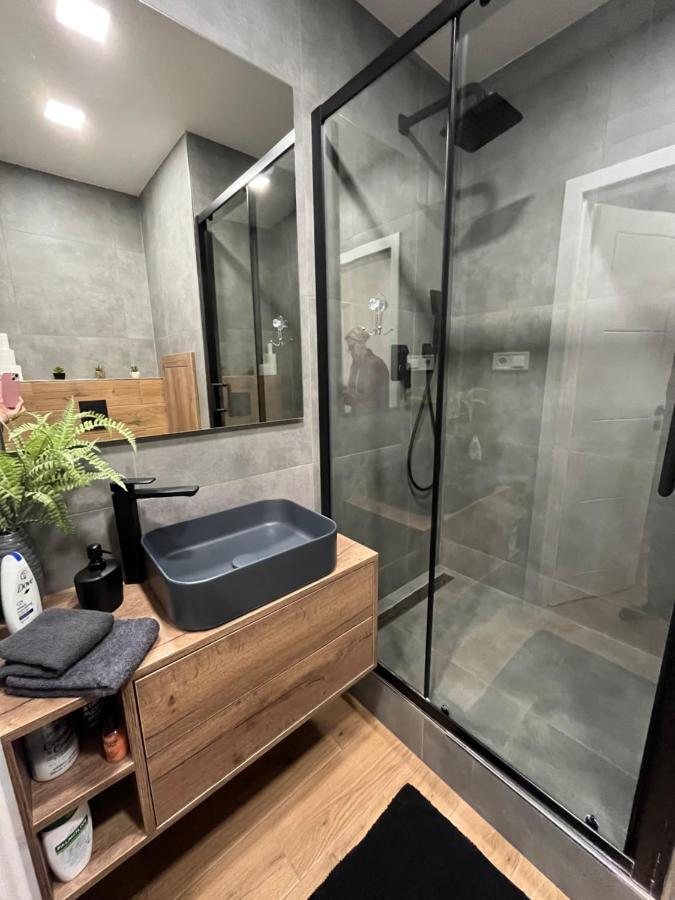 Luxusni Nove Zrekonstruovany Apartman 2Kk - 47M2 - Ostrava Centrum المظهر الخارجي الصورة